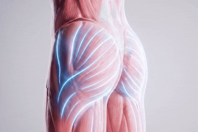 Sculpt Mode